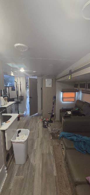 In Search of Roommate
