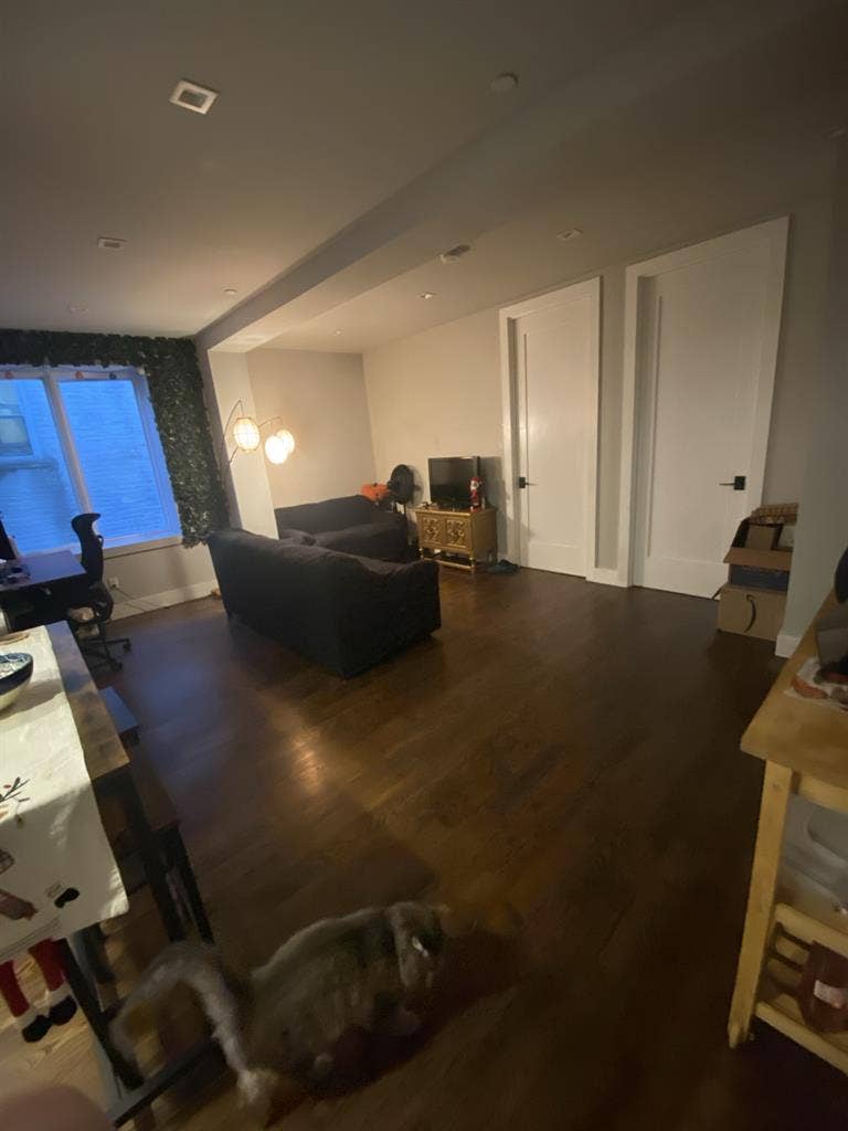 Room available asap