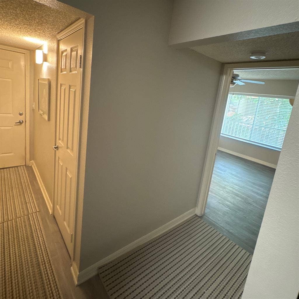 Looking for a decent roommate