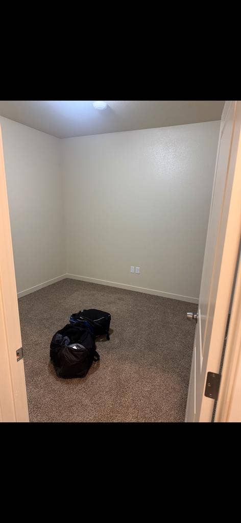 Roommate wanted