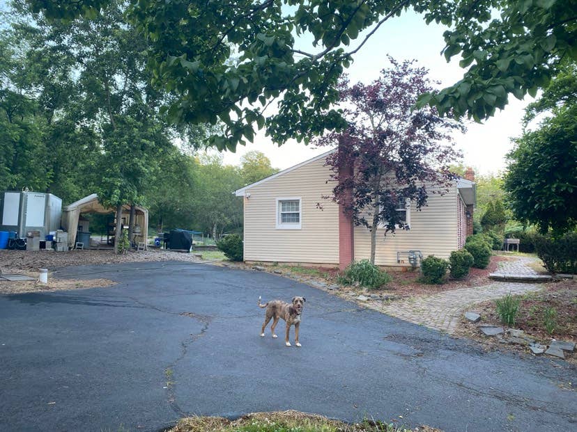 2 Open Rooms in House for Rent