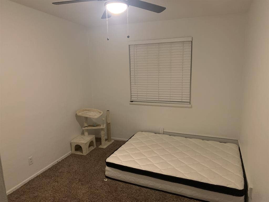 Room for rent (read bio)