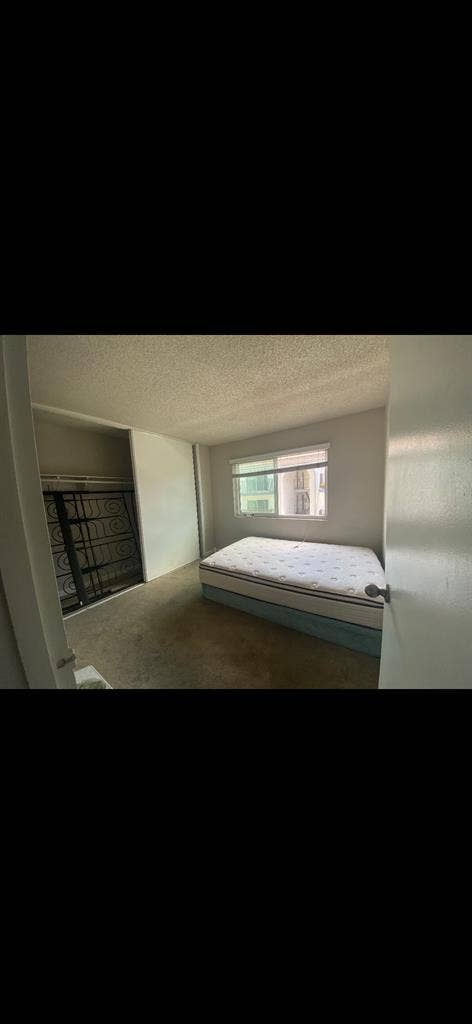Looking for roommate!