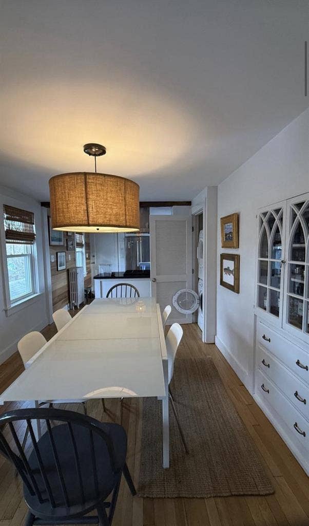 2 bedroom apt. Need 2nd roommate.