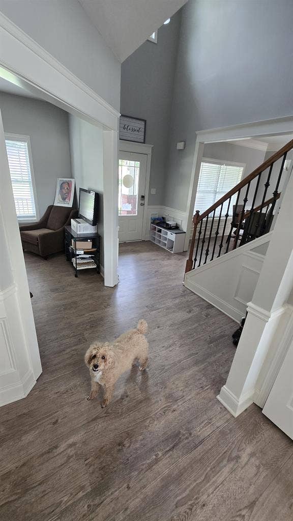 Room in beautiful Buford Home
