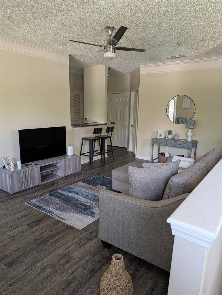 Looking for a roommate