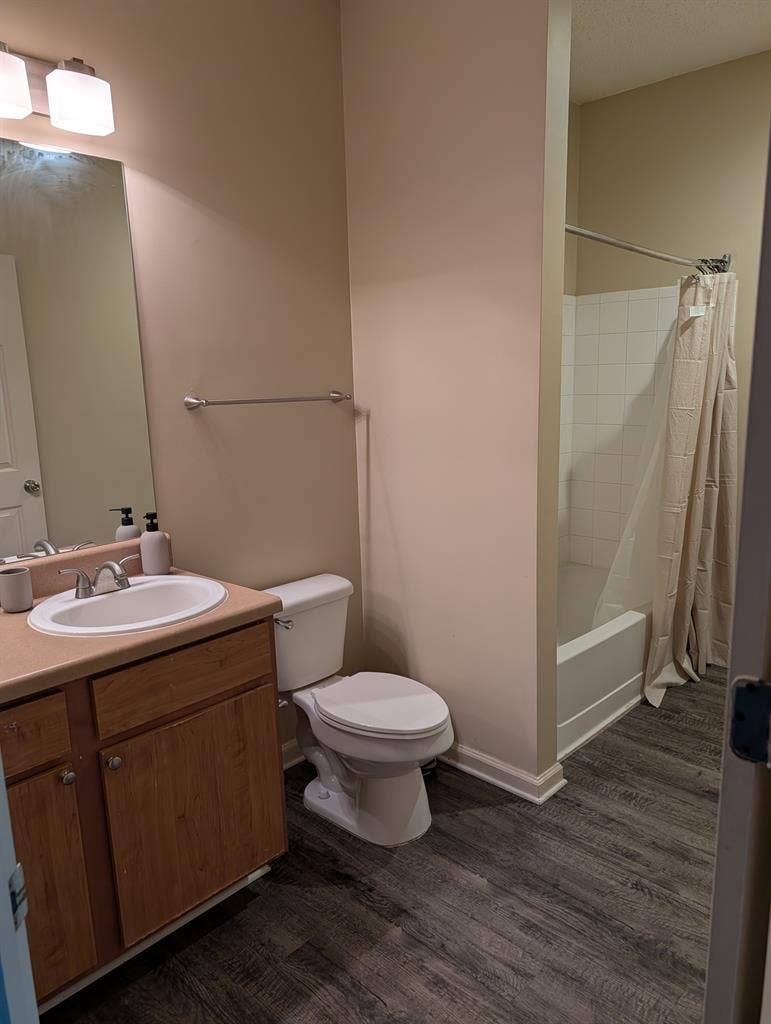 Looking for a roommate