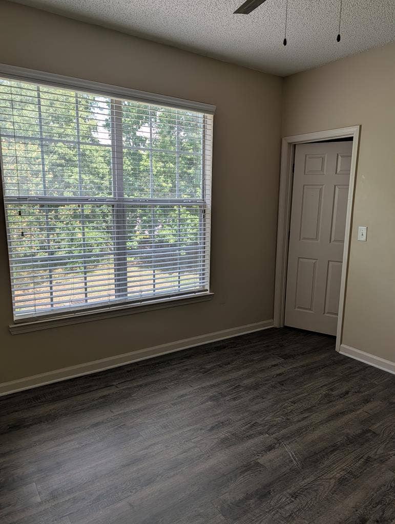 Looking for a roommate