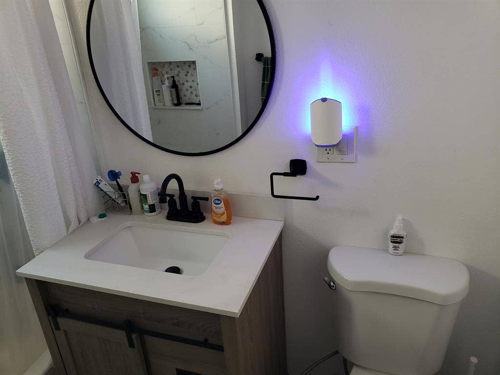 Downtown Master Bedroom for rent