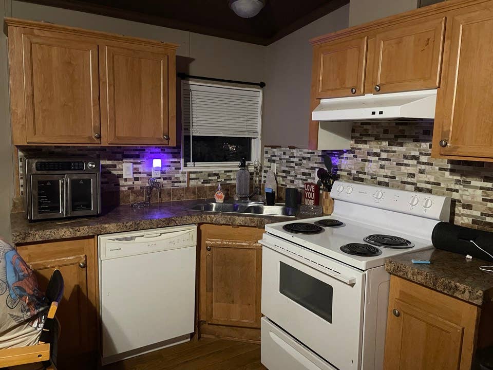 Looking for a new roomie