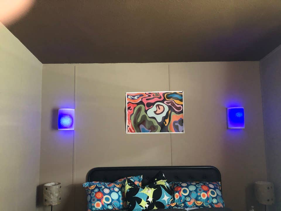 Looking for a new roomie