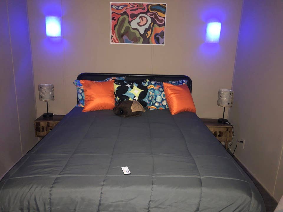 Looking for a new roomie