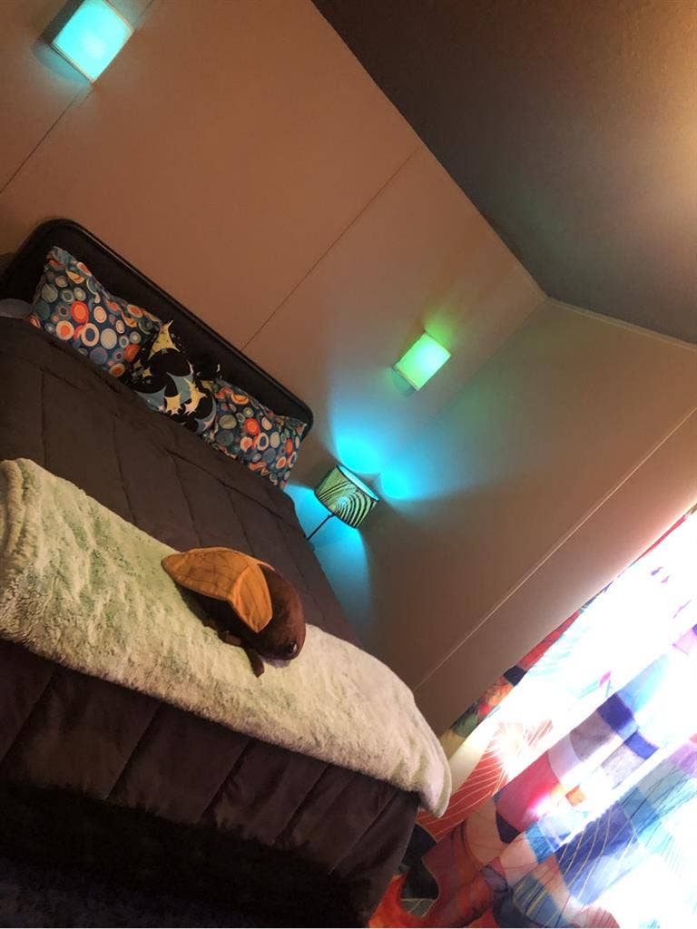 Looking for a new roomie