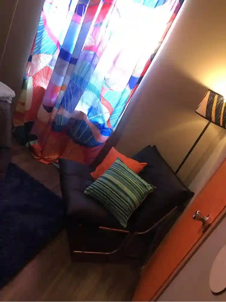 Looking for a new roomie