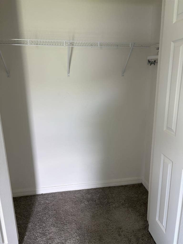 Looking for a roommatee