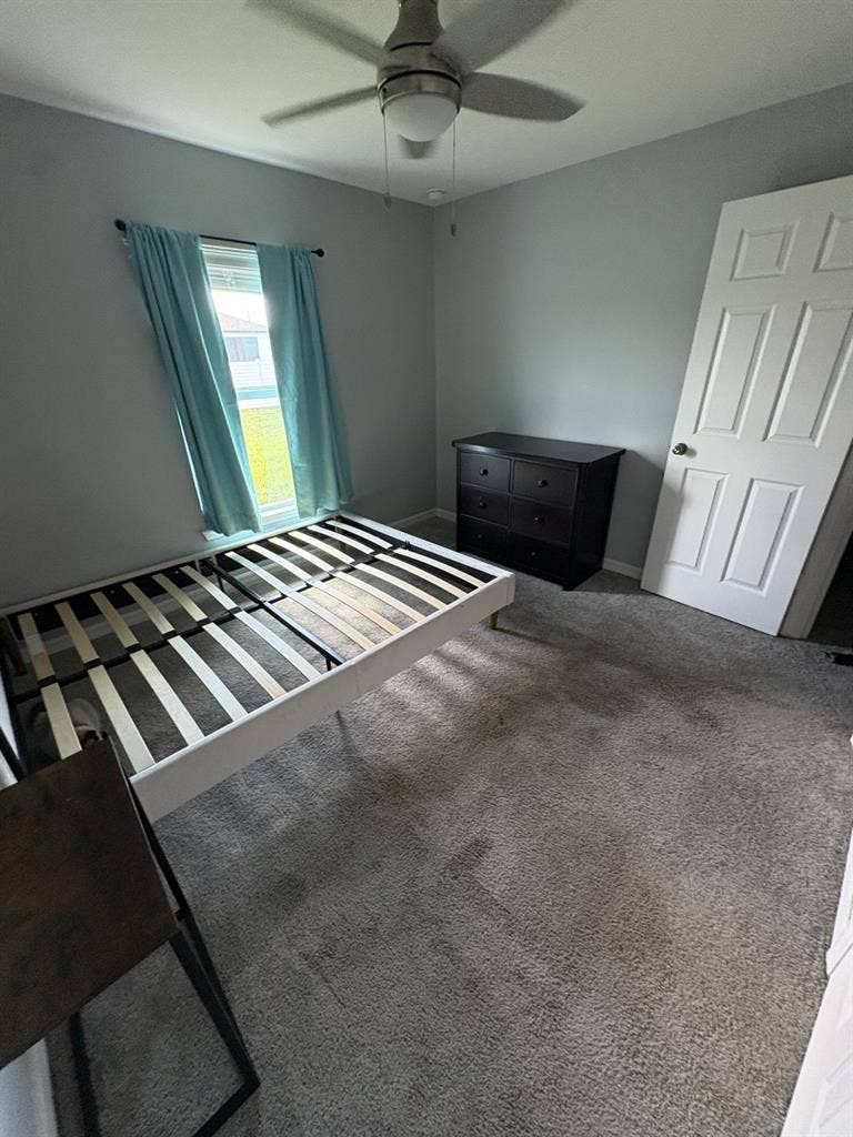 Looking for a roommatee