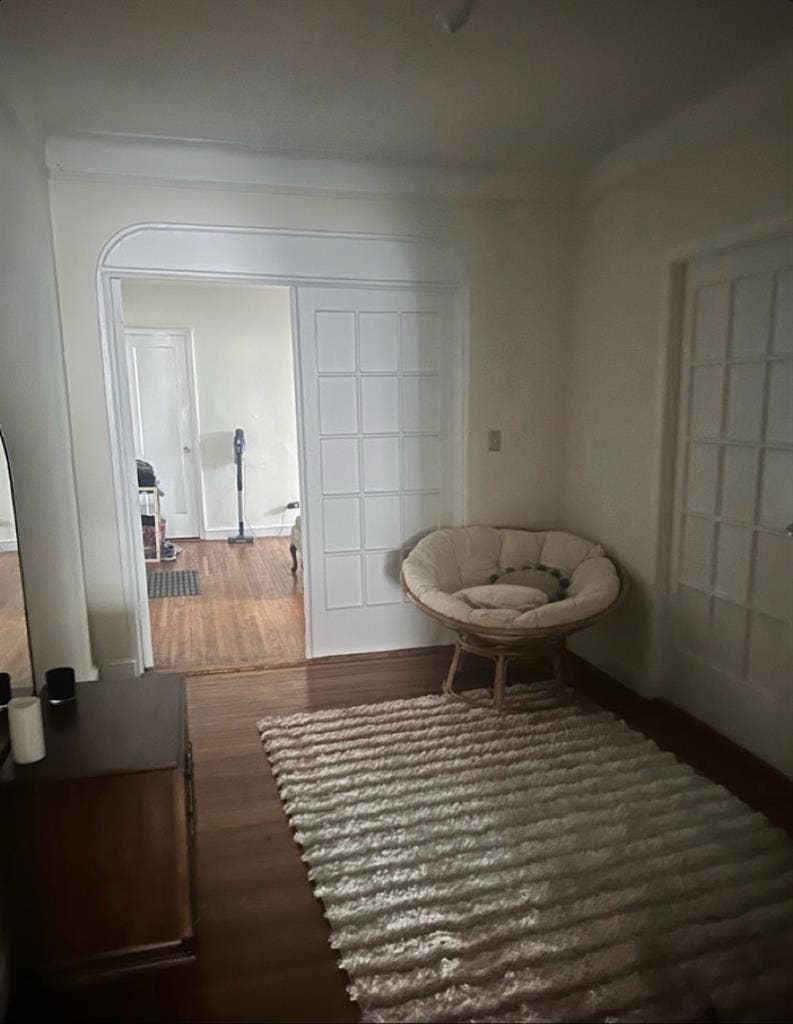 Big apartment in Forest Hills