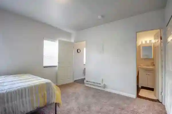 Fully furnished 1B1B apartment