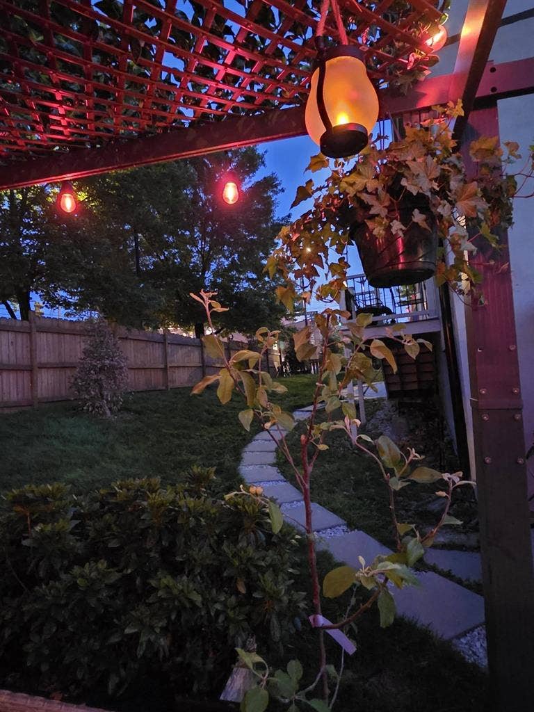 Room in SFH near MN Ave Metro