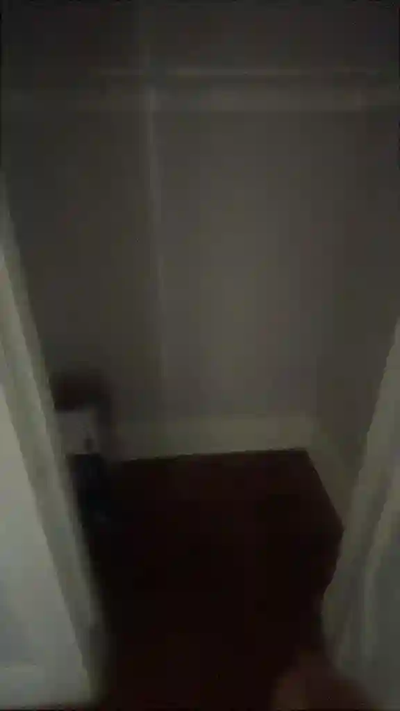 Roommate wanted