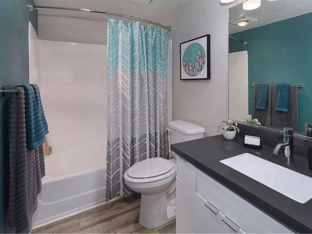 A fully furnished apartment