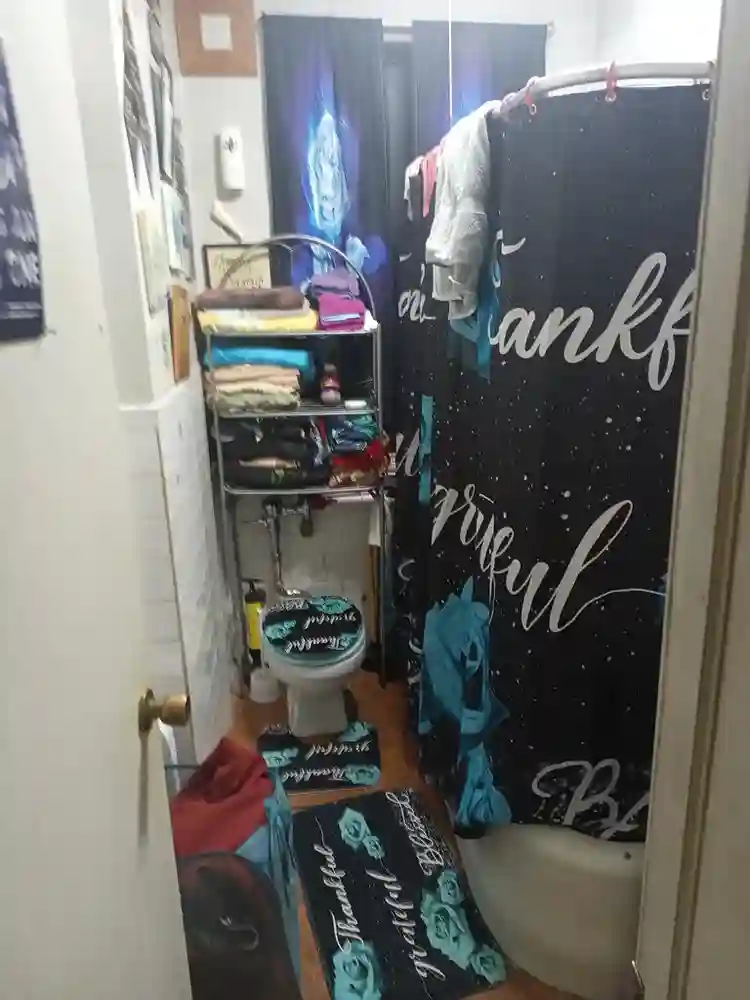 CLEAN ROOM IN THE BRONX NEW YORK