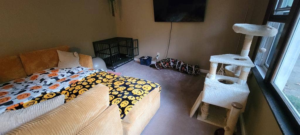 Room to Rent in Mattawan, MI