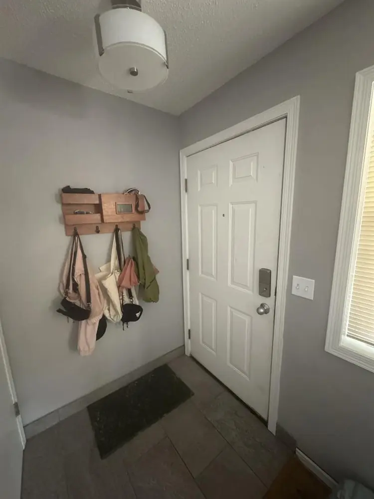 Looking for a roommate!