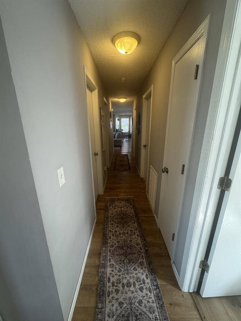 Looking for a roommate!