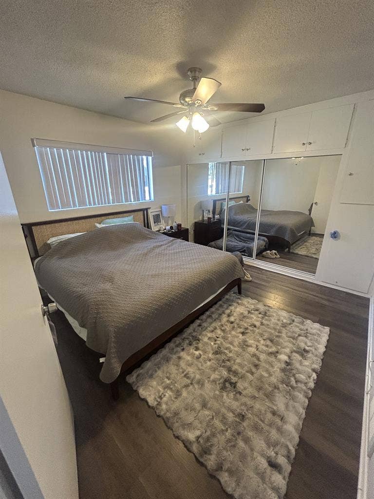 Cozy pet-friendly furnished APT