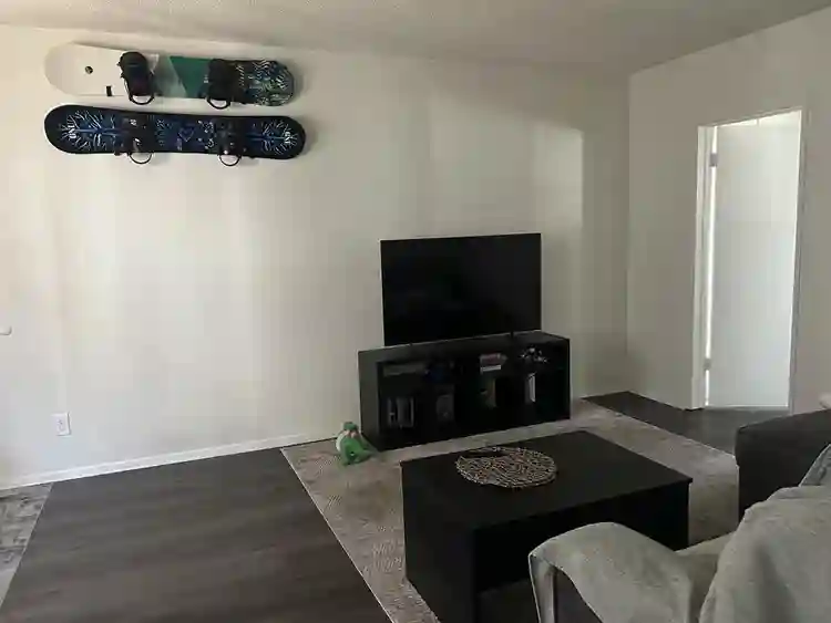Cozy pet-friendly furnished APT