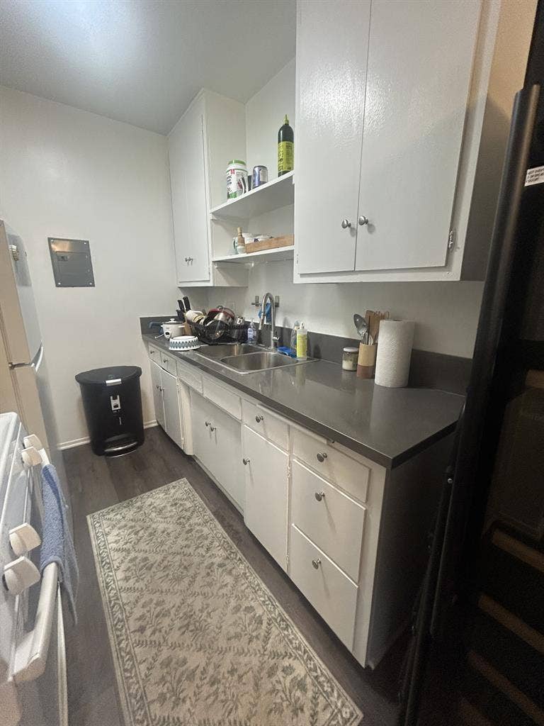 Cozy pet-friendly furnished APT