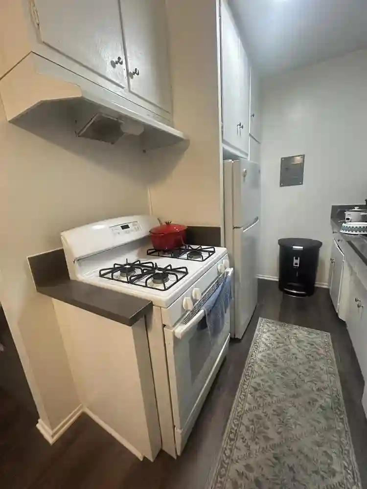 Cozy pet-friendly furnished APT