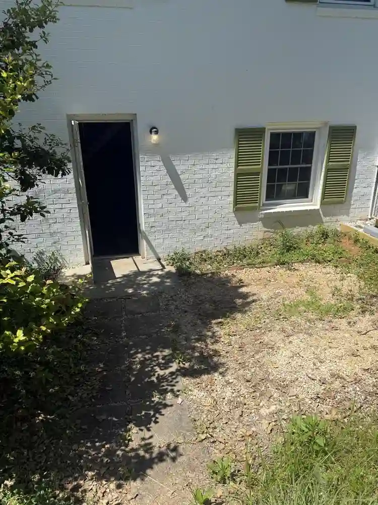 Private Basement for Rent