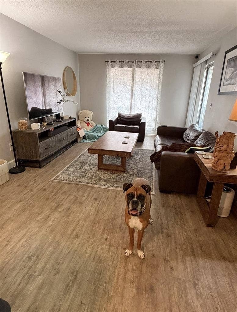 Roommate wanted now in Westshore