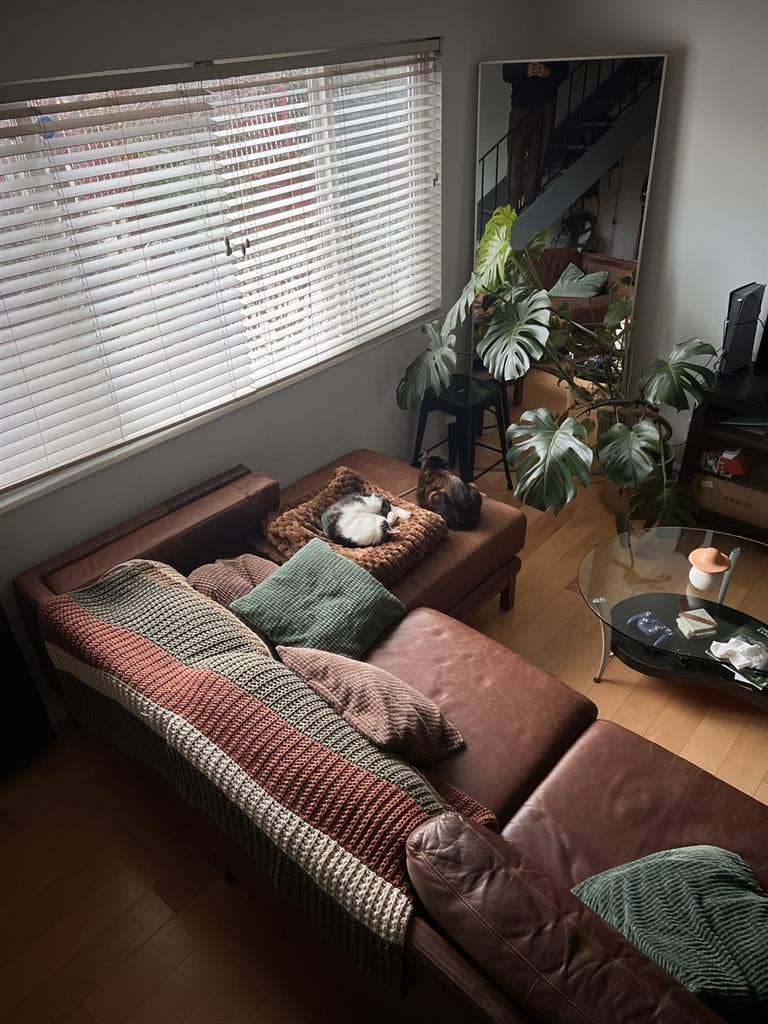 Room for rent in 2bd1.5bth