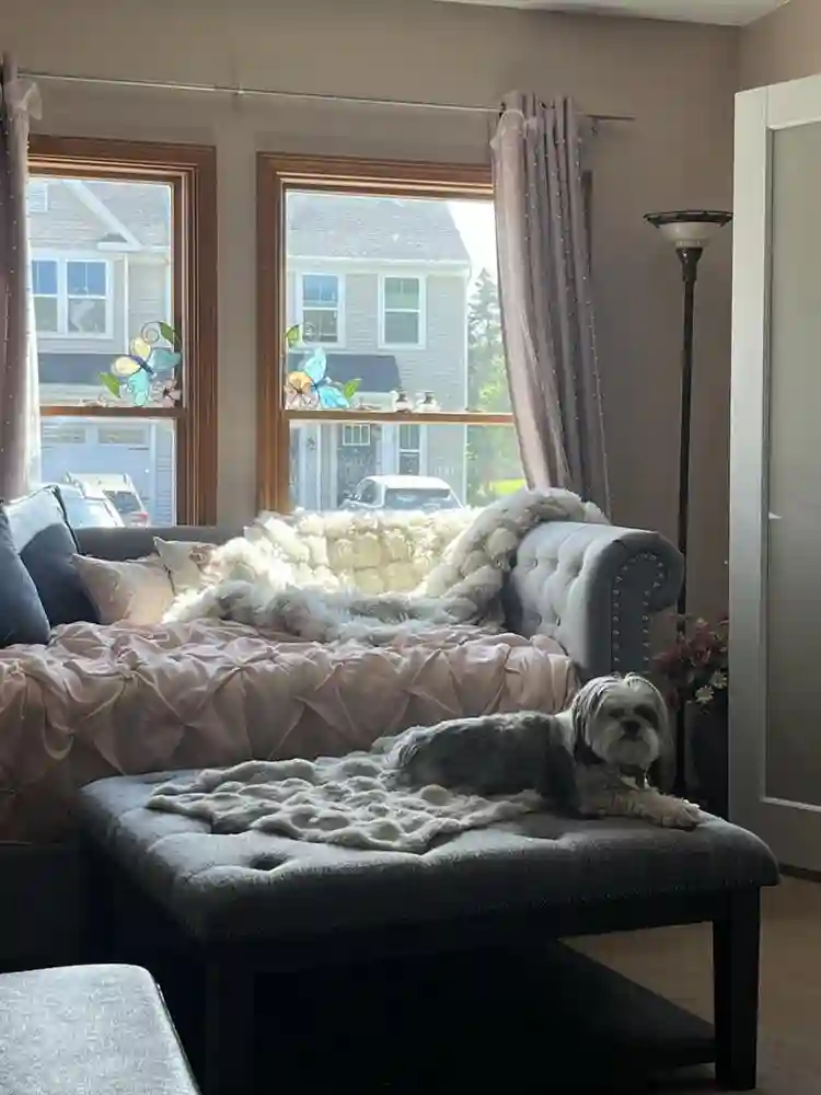 Room for rent. Avail Mid August/