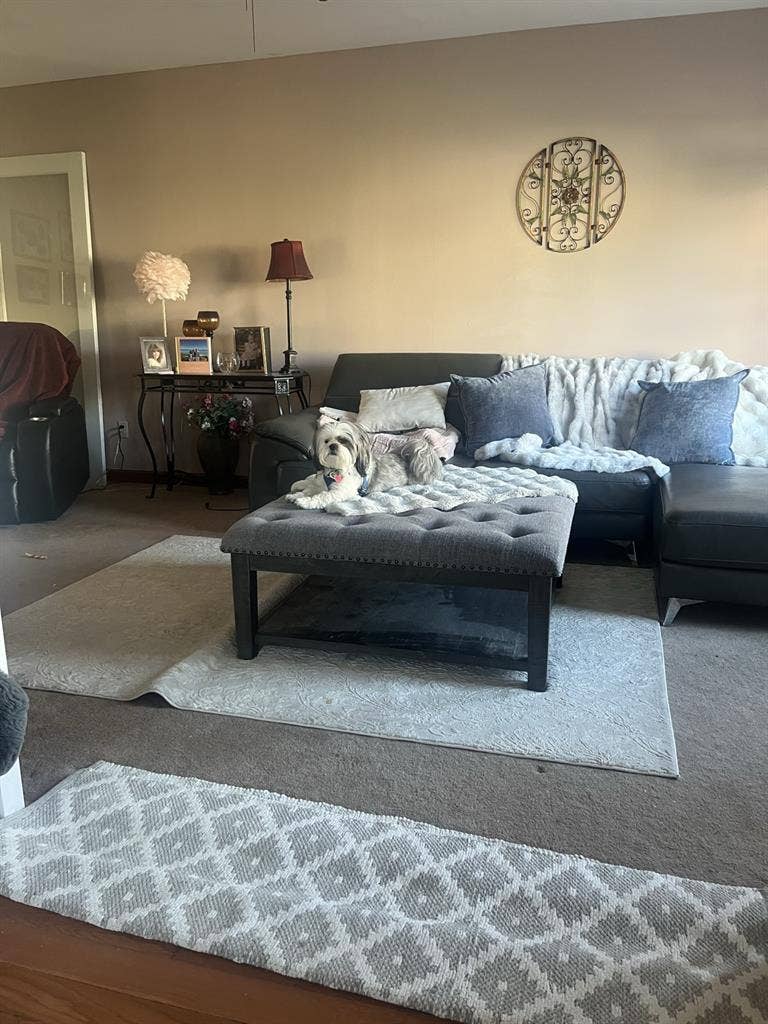 Room for rent. Avail Mid August/