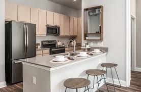 NEED A SUBLEASER- ORLANDO, FL