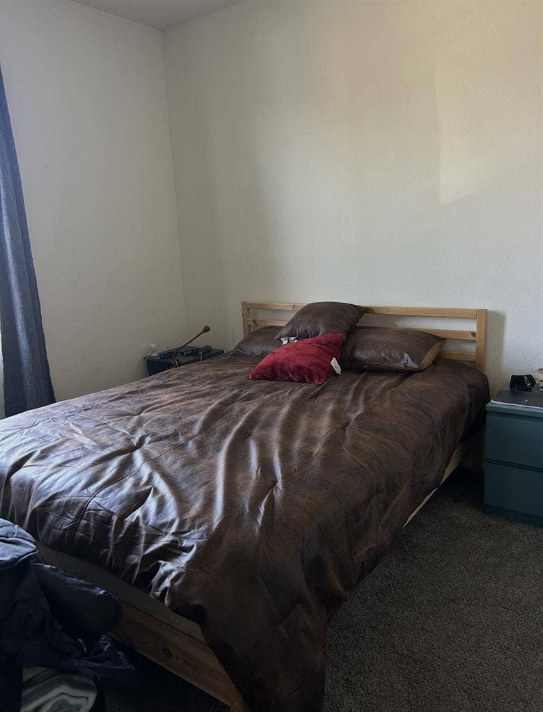 Roommate Wanted-2 Bed/2 Bath Apt