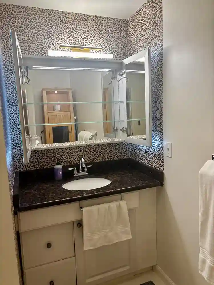 Cozy, well furnished walk in Apt.