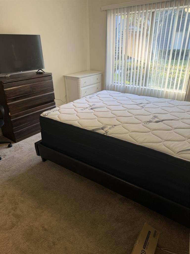 Private room and bath for rent