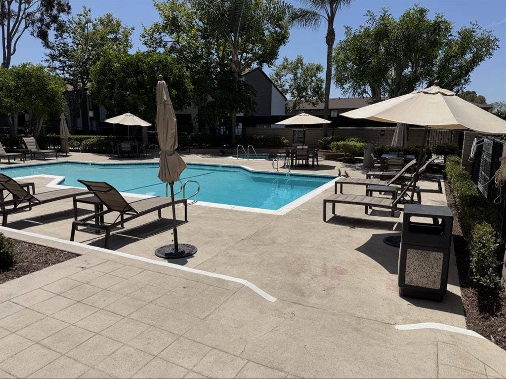 Private room and bath for rent