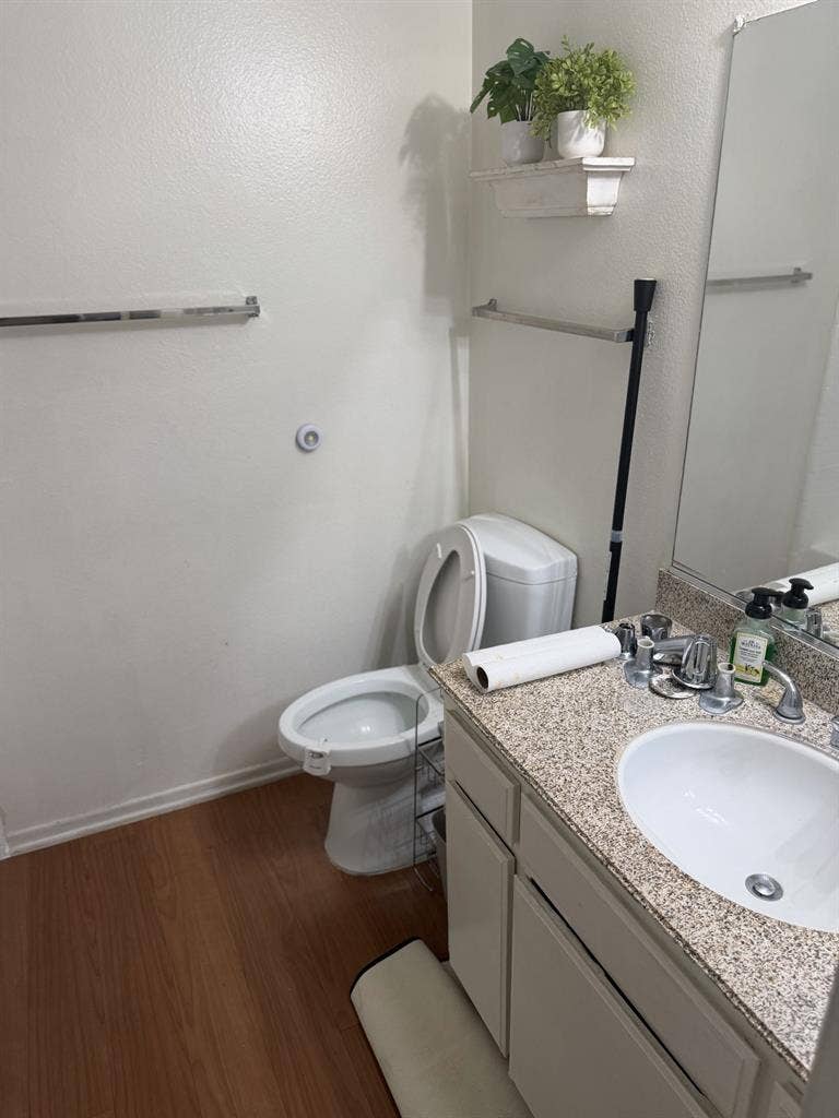 Private room and bath for rent