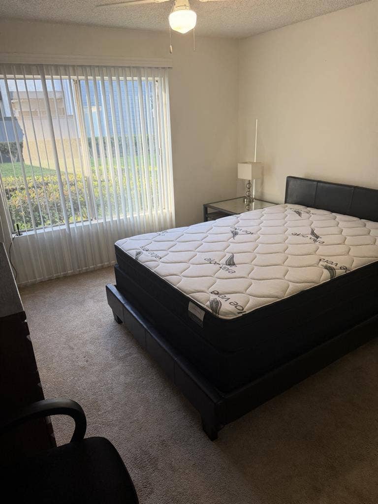 Private room and bath for rent