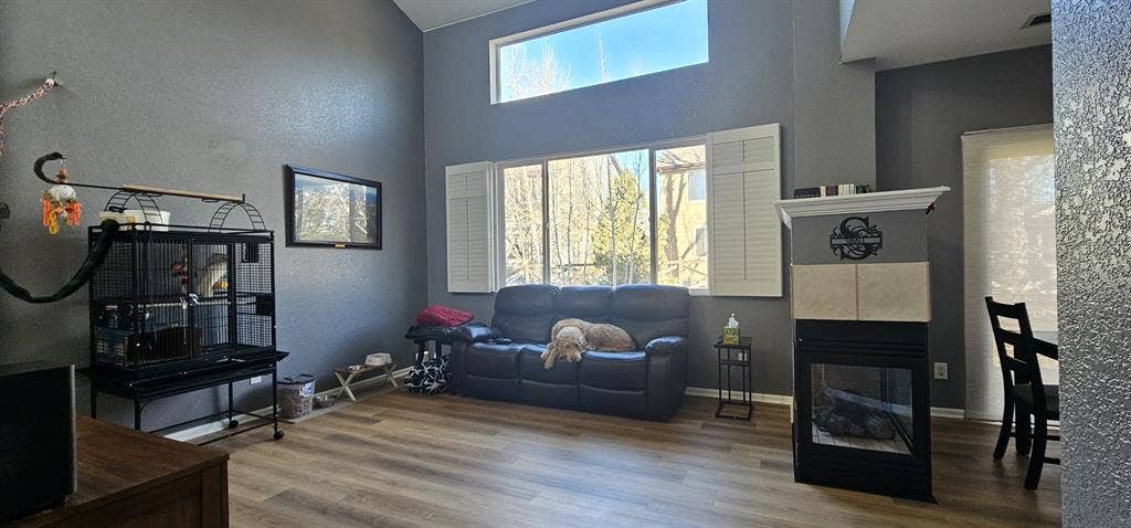 New Listing