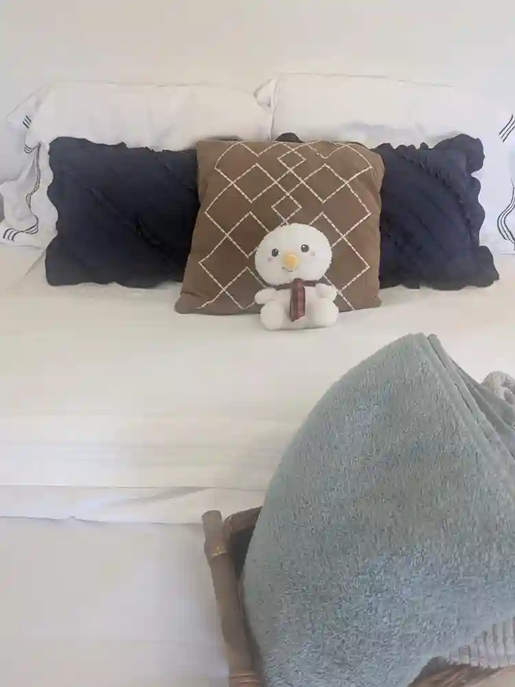 Quiet Clean Respectful Shared Home