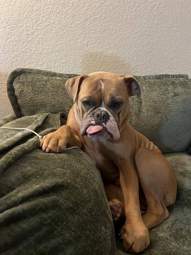Seeking roommate for San Mateo 2BR