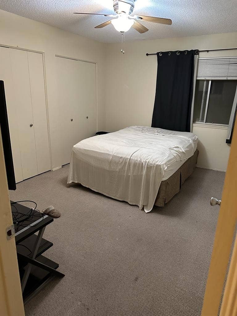 Looking for a responsible roommate