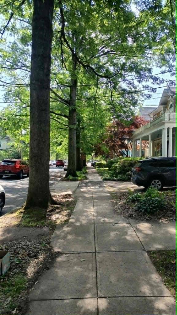 July Sublet 1BR Apt - East Rock
